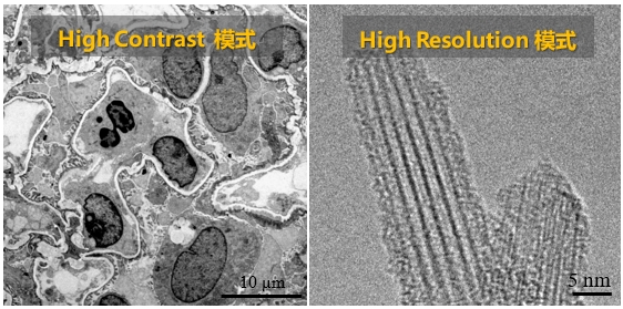 20251126 细胞生物学平台电镜机组日立HT7800透射电子显微镜培训通知 封面图.jpg