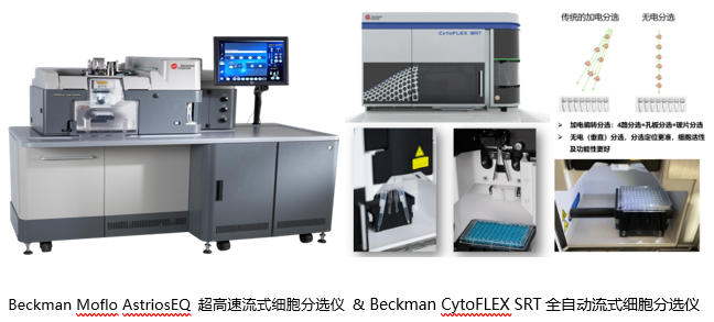 20251113 共享仪器平台贝克曼库尔特流式分选系统技术交流与培训会通知 封面图.jpg