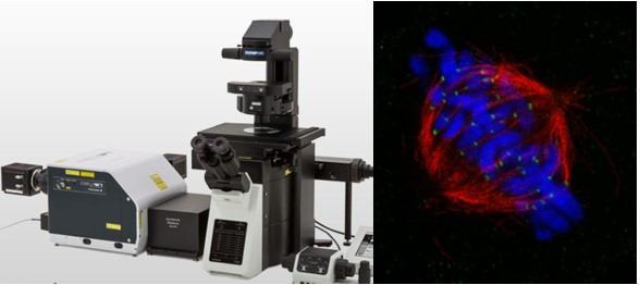 20251127 共享仪器平台SpinSR 超分辨转盘共聚焦显微镜上机培训通知 封面图.jpg